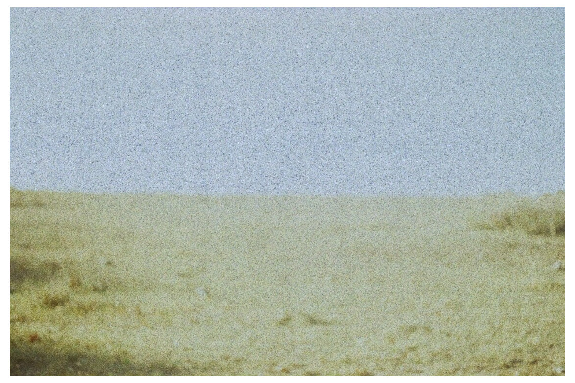 Field